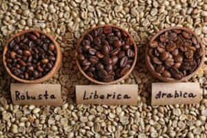 jenis jenis biji kopi