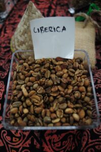 biji kopi liberica